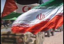 WhatsApp Image 2026 03 13 at 22.11.41