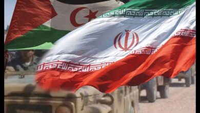 WhatsApp Image 2026 03 13 at 22.11.41