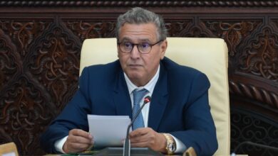 WhatsApp Image 2026 03 13 at 22.21.30