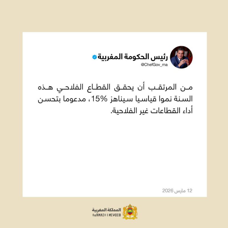 WhatsApp Image 2026 03 13 at 22.22.41 scaled