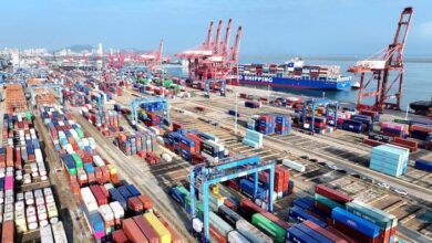 WhatsApp Image 2026 03 14 at 10.19.52