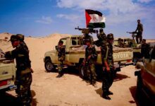 WhatsApp Image 2026 03 15 at 16.05.49