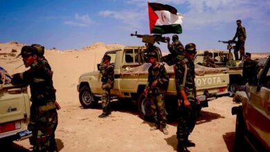 WhatsApp Image 2026 03 15 at 16.05.49