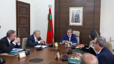 WhatsApp Image 2026 03 17 at 15.58.37 1