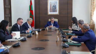 WhatsApp Image 2026 03 17 at 15.58.37