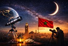 WhatsApp Image 2026 03 18 at 16.11.27