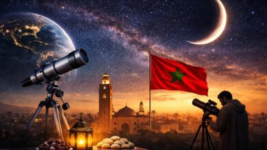 WhatsApp Image 2026 03 18 at 16.11.27