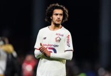 WhatsApp Image 2026 03 19 at 16.35.23