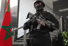 WhatsApp Image 2026 03 23 at 14.31.55