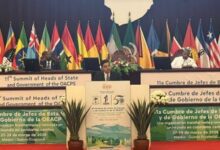 WhatsApp Image 2026 03 28 at 15.31.50