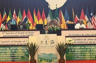 WhatsApp Image 2026 03 28 at 15.31.50