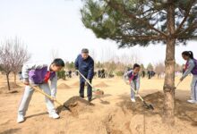 WhatsApp Image 2026 03 31 at 09.30.22 3