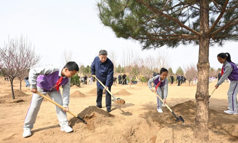 Xi Jinping appelle à une mobilisation générale pour renforcer le reboisement en Chine 1 WhatsApp Image 2026 03 31 at 09.30.22 3