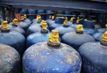 WhatsApp Image 2026 03 31 at 14.36.45