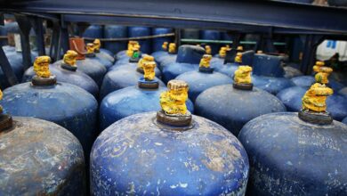 WhatsApp Image 2026 03 31 at 14.36.45