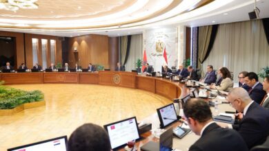 663271193 1532134278278096 5545892983360284051 n