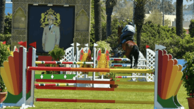 Capture decran 2026 04 03 a 23.00.56