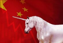 WhatsApp Image 2026 04 01 at 09.35.43