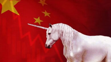 WhatsApp Image 2026 04 01 at 09.35.43