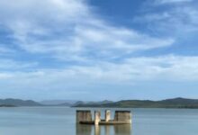 WhatsApp Image 2026 04 01 at 16.54.22 1