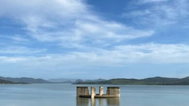 WhatsApp Image 2026 04 01 at 16.54.22 1