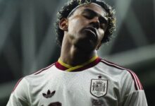 WhatsApp Image 2026 04 01 at 19.40.11