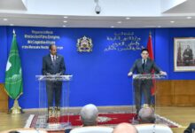 WhatsApp Image 2026 04 01 at 20.35.49