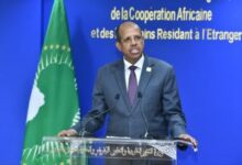 WhatsApp Image 2026 04 01 at 4.20.40 PM