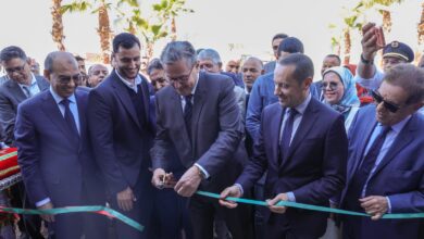 WhatsApp Image 2026 04 04 at 14.53.47