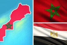 WhatsApp Image 2026 04 06 at 19.50.27