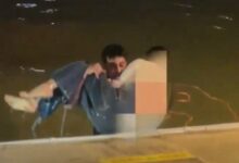 WhatsApp Image 2026 04 08 at 12.36.09