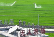 WhatsApp Image 2026 04 09 at 09.23.28