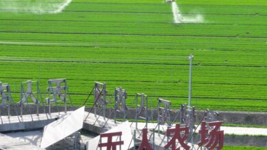 La Chine annonce de nouvelles politiques financières pour soutenir l’agriculture et le développement rural à l’horizon 2026 7 WhatsApp Image 2026 04 09 at 09.23.28