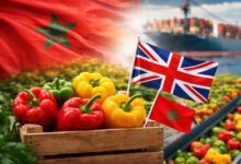 WhatsApp Image 2026 04 13 at 15.47.31