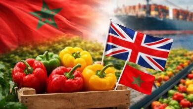 WhatsApp Image 2026 04 13 at 15.47.31