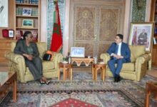 WhatsApp Image 2026 04 14 at 2.09.53 PM