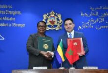 WhatsApp Image 2026 04 14 at 2.20.17 PM