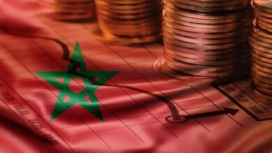 WhatsApp Image 2026 04 15 at 21.16.31