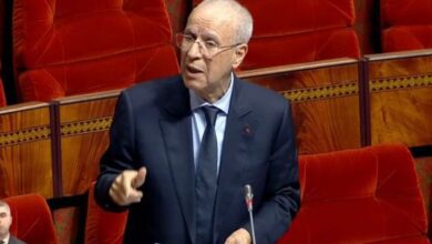 WhatsApp Image 2026 04 21 at 13.39.03