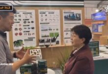 WhatsApp Image 2026 04 25 at 10.50.20