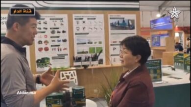 WhatsApp Image 2026 04 25 at 10.50.20