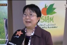 WhatsApp Image 2026 04 25 at 11.15.44