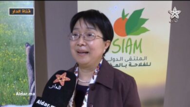 WhatsApp Image 2026 04 25 at 11.15.44