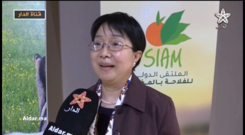 WhatsApp Image 2026 04 25 at 11.15.44 scaled