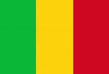 WhatsApp Image 2026 04 25 at 21.15.12