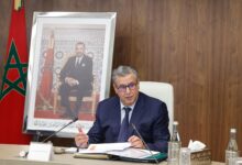 WhatsApp Image 2026 04 28 at 18.08.13 2