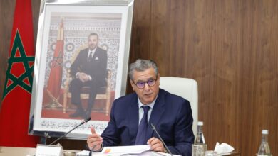 WhatsApp Image 2026 04 28 at 18.08.13 2