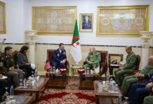 WhatsApp Image 2026 04 28 at 18.18.34