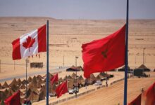 WhatsApp Image 2026 04 28 at 21.11.30