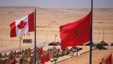 WhatsApp Image 2026 04 28 at 21.11.30